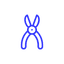 category-icon
